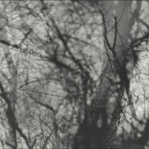 Grouper - Way Their Crept ryhmässä VINYYLI @ Bengans Skivbutik AB (5645864)