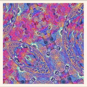 Nino Carlos & Friends - Placenta ryhmässä VINYYLI / Pop-Rock @ Bengans Skivbutik AB (5645950)