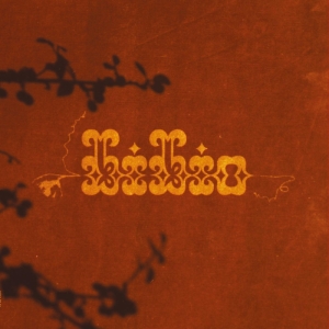 Bibio - Ovals & Emeralds (GREEN VINYL) ryhmässä VINYYLI / Pop-Rock @ Bengans Skivbutik AB (5645953)