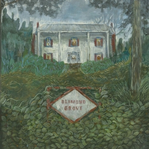 Weirs - Diamond Grove ryhmässä VINYYLI / Kommande / Pop-Rock @ Bengans Skivbutik AB (5646106)