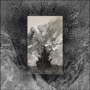Superpoze - Siècle ryhmässä ME SUOSITTELEMME / Startsida - Vinyl Nyheter & Kommande @ Bengans Skivbutik AB (5646388)