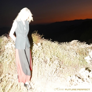 Hirons - Future Perfect ryhmässä ME SUOSITTELEMME / Perjantain julkaisut / 2025-11-07 @ Bengans Skivbutik AB (5646871)