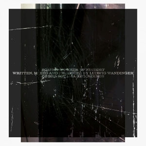 Sanguis - Wounding ryhmässä ME SUOSITTELEMME / Perjantain julkaisut / 2025-11-07 @ Bengans Skivbutik AB (5646886)