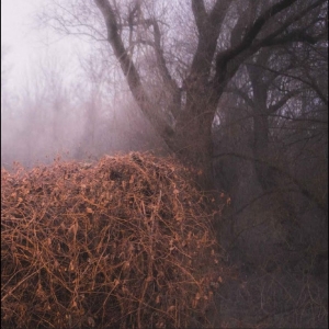 The Devil?S Trade - Nincs Szennyezetlen Szép ryhmässä ME SUOSITTELEMME / Perjantain julkaisut / 2025-11-07 @ Bengans Skivbutik AB (5646918)