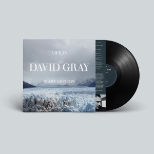 David Gray - Life In Slow Motion (20Th Anniversary Vinyl) ryhmässä VINYYLI / Kommande / Pop-Rock @ Bengans Skivbutik AB (5647001)