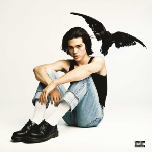 Conan Gray - Kid Krow ryhmässä -Start Uni-CD @ Bengans Skivbutik AB (5647172)