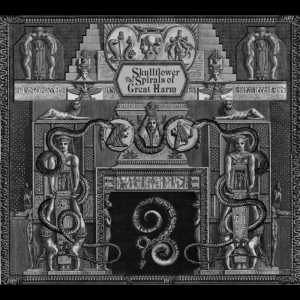 Skullflower - The Spirals Of Great Harm ryhmässä ME SUOSITTELEMME / Perjantain julkaisut / 2025-11-14 @ Bengans Skivbutik AB (5647364)