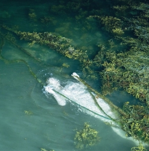 Pietu Arvola - Meidän Täytyy Valvoa Jottemme Nukku ryhmässä ME SUOSITTELEMME / Perjantain julkaisut / 2025-11-07 @ Bengans Skivbutik AB (5647532)