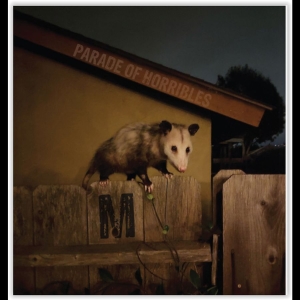 Parade Of Horribles - Nma ryhmässä ME SUOSITTELEMME / Startsida - Vinyl Nyheter & Kommande @ Bengans Skivbutik AB (5648568)