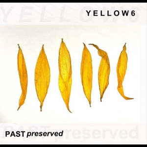 Yellow6 - Past Preserved ryhmässä VINYYLI / Kommande / Pop-Rock @ Bengans Skivbutik AB (5648604)