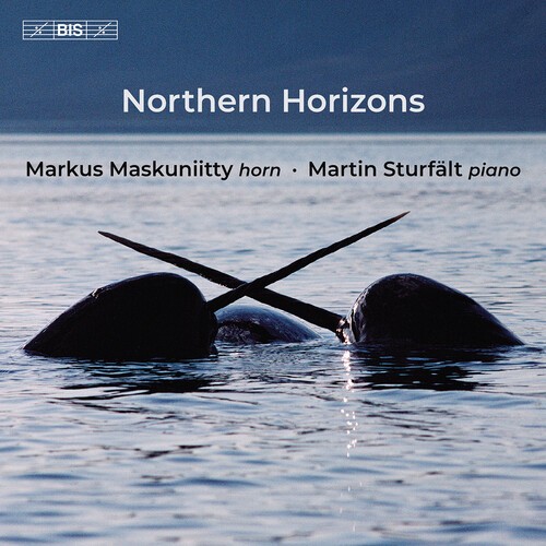 Markus Maskuniitty - Northern Horizons ryhmässä Musiikki / SACD / Klassiskt @ Bengans Skivbutik AB (5649639)