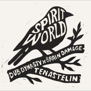 Dub Dynasty Brain Damage Tenastel - Spirit World ryhmässä VINYYLI / Kommande / Reggae @ Bengans Skivbutik AB (5649852)