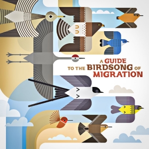 Various Artists - A Guide To The Birdsong Of Migratio ryhmässä CD / Kommande / Pop-Rock @ Bengans Skivbutik AB (5650073)