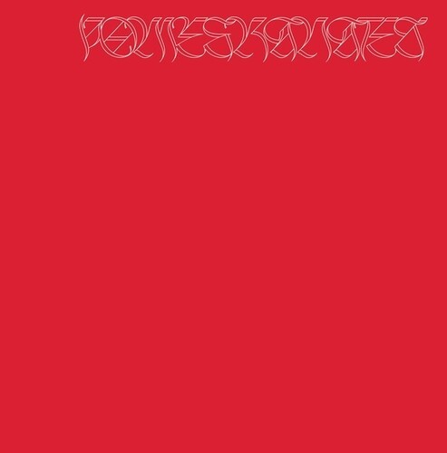 Nicolás Jaar - Pomegranates ryhmässä VINYYLI / Pop-Rock @ Bengans Skivbutik AB (5650097)