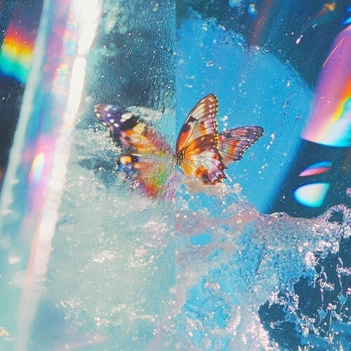 Daphni - Butterfly ryhmässä CD / Myydyimmät @ Bengans Skivbutik AB (5650098)