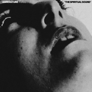 Agriculture - The Spiritual Sound ryhmässä ME SUOSITTELEMME / Startsida - Vinyl Nyheter & Kommande @ Bengans Skivbutik AB (5650608)