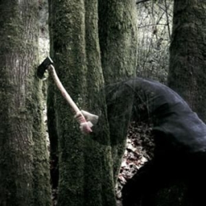 Baptists - Bushcraft ryhmässä CD @ Bengans Skivbutik AB (565115)