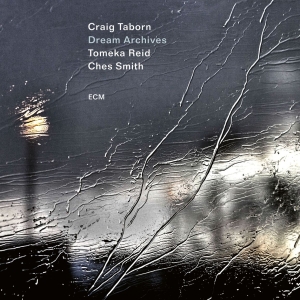 Craig Taborn - Dream Archives ryhmässä ME SUOSITTELEMME / Perjantain julkaisut / 2026-01-16 @ Bengans Skivbutik AB (5651316)