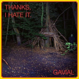 Gavial - Thansk, I Hate It (Vinyl Lp + Cd) ryhmässä VINYYLI / Kommande / Pop-Rock @ Bengans Skivbutik AB (5651528)