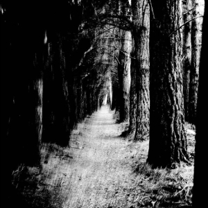 Stray Theories - Falter ryhmässä CD / Kommande / Pop-Rock @ Bengans Skivbutik AB (5651839)