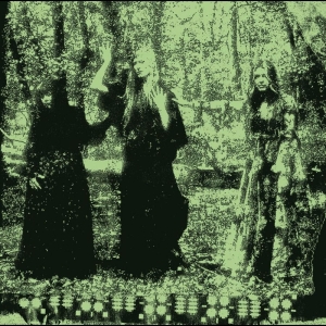 Tristwch Y Fenywod - Tristwch Y Fenywod ryhmässä VINYYLI / Pop-Rock @ Bengans Skivbutik AB (5652059)