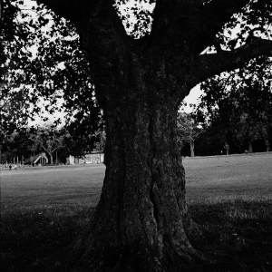 Archy Marshall - A New Place 2 Drown (Instrumentals) ryhmässä ME SUOSITTELEMME / Perjantain julkaisut / 2026-01-16 @ Bengans Skivbutik AB (5652185)