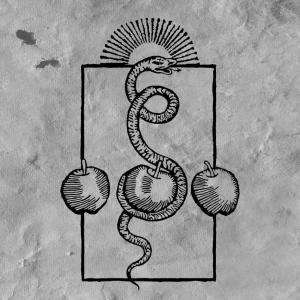 Darvaza - We Are Him ryhmässä VINYYLI / Kommande / Hårdrock @ Bengans Skivbutik AB (5652354)