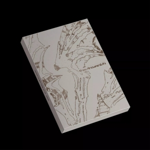 Enhypen - The Sin : Vanish (Afterlight Ver.) ryhmässä ME SUOSITTELEMME / Perjantain julkaisut / 2026-01-16 @ Bengans Skivbutik AB (5652590)