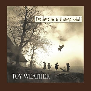 Toy Weather - Feathers In A Strange Wind ryhmässä VINYYLI / Kommande / Pop-Rock @ Bengans Skivbutik AB (5652688)