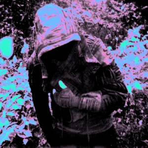 Lunacy - The Crisis Of Existence (Fog Clear ryhmässä VINYYLI / Kommande / Pop-Rock @ Bengans Skivbutik AB (5652848)