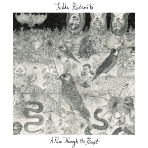 Jukka Rintamäki - A Run Through The Forest (180g White Vinyl LP) ryhmässä VINYYLI / Kommande / Pop-Rock @ Bengans Skivbutik AB (5653303)