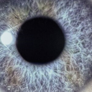 Swanö Dan - Moontower (Re-Issue) ryhmässä Kommande - alla format @ Bengans Skivbutik AB (5653693)