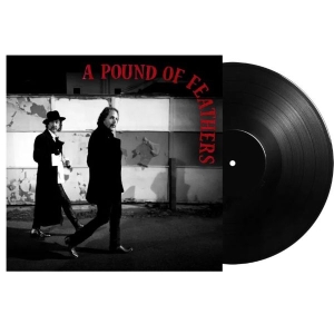 The Black Crowes - A Pound Of Feathers (Black Vinyl) ryhmässä VINYYLI / Kommande / Pop-Rock @ Bengans Skivbutik AB (5653867)