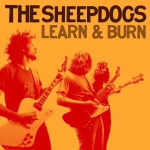 Sheepdogs The - Learn & Burn ryhmässä CD / Kommande / Pop-Rock @ Bengans Skivbutik AB (5653975)