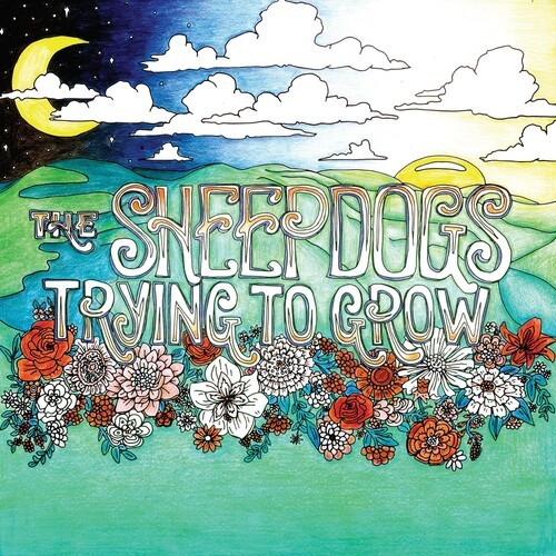 Sheepdogs The - Trying To Grow ryhmässä CD / Pop-Rock @ Bengans Skivbutik AB (5653976)