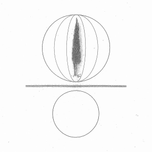 Stephen O'malley - Spheres Collapser ryhmässä VINYYLI / Kommande / Dance-Techno @ Bengans Skivbutik AB (5654002)