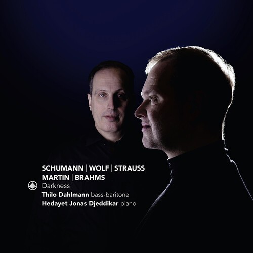 Thilo Dahlmann & Hedayet Jonas Djeddikar - Darkness ryhmässä CD / Klassiskt @ Bengans Skivbutik AB (5654281)