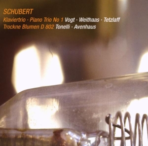 Lars Vogt & Antje Weithaas & Christian Tetzlaff - Schubert: Klaviertrio - Piano Trio No. 1/Trockne Blumen D 802 ryhmässä CD / Klassiskt @ Bengans Skivbutik AB (5654289)