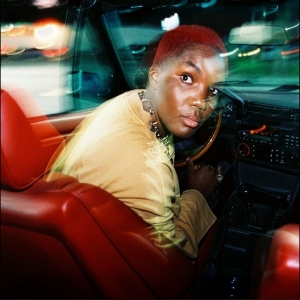 Arlo Parks - Ambiguous Desire (Black Vinyl) ryhmässä ME SUOSITTELEMME / Bengans Henkilökunnan Vinkit / Morgan recommends @ Bengans Skivbutik AB (5654736)