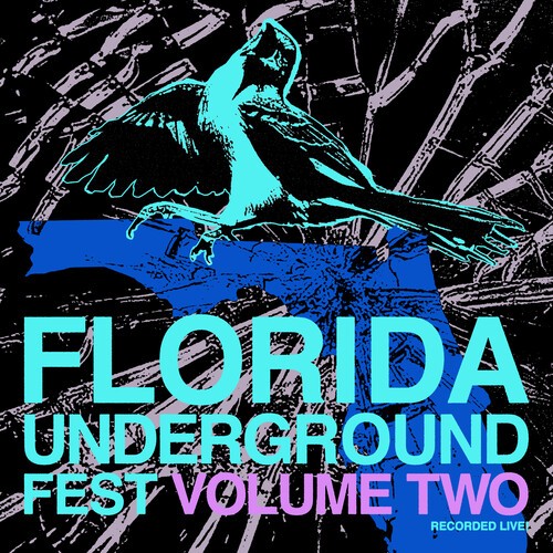 Various Artists - Florida Underground Fest Vol. 2 ryhmässä VINYYLI / Pop-Rock @ Bengans Skivbutik AB (5655158)