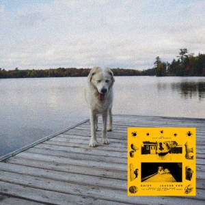 Jaguar Sun - Daisy (Black And Yellow Swirl Vinyl ryhmässä VINYYLI / Kommande / Pop-Rock @ Bengans Skivbutik AB (5655170)