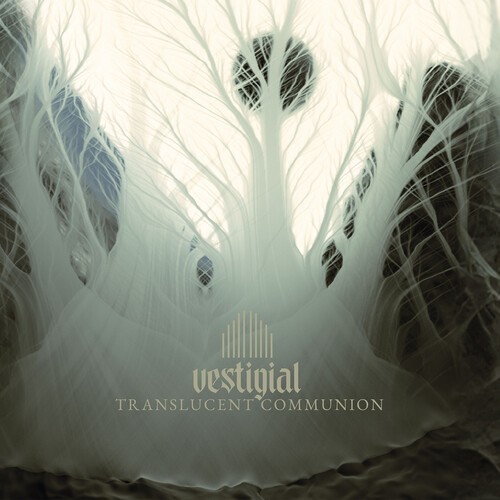 Vestigial - Translucent Communion ryhmässä CD / Pop-Rock @ Bengans Skivbutik AB (5655233)
