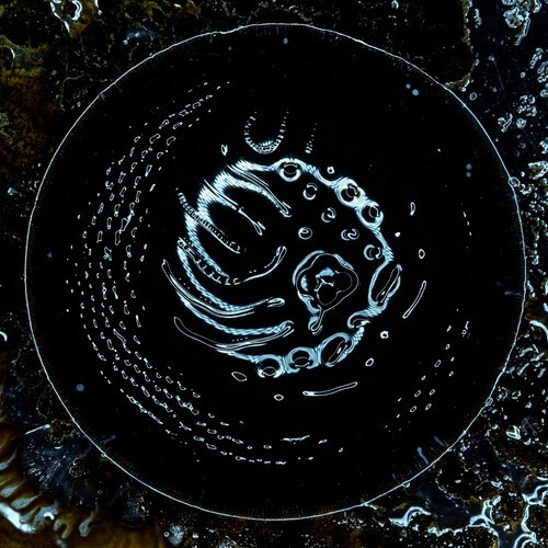 Stonus - Stonus ryhmässä CD / Hårdrock @ Bengans Skivbutik AB (5655319)