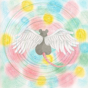 Mei Semones - Animaru ryhmässä VINYYLI / Pop-Rock @ Bengans Skivbutik AB (5655626)