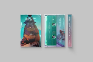 Michael Staple - Video Game Lofi: Donkey Kong Country 2: Diddy's Kong Quest (Clear ryhmässä  @ Bengans Skivbutik AB (5655766)