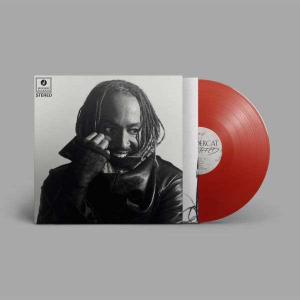 Thundercat - Distracted (Red Vinyl) ryhmässä VINYYLI / Kommande / RnB-Soul @ Bengans Skivbutik AB (5656183)