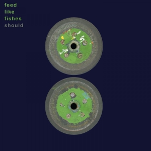 Should - Feed Like Fishes (Ltd. Spring Green ryhmässä VINYYLI / Kommande / Pop-Rock @ Bengans Skivbutik AB (5656297)