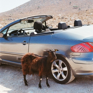 Exek - Prove The Mountains Move ryhmässä VINYYLI / Kommande / Pop-Rock @ Bengans Skivbutik AB (5656303)