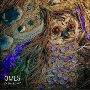 Owls - Rare Birds ryhmässä VINYYLI / Pop-Rock @ Bengans Skivbutik AB (5656762)