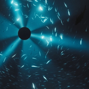 Laurel Halo - Midnight Zone (Original Soundtrack ryhmässä VINYYLI / Kommande / Film-Musikal @ Bengans Skivbutik AB (5656764)